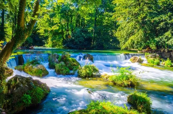 Englischer Garten in München